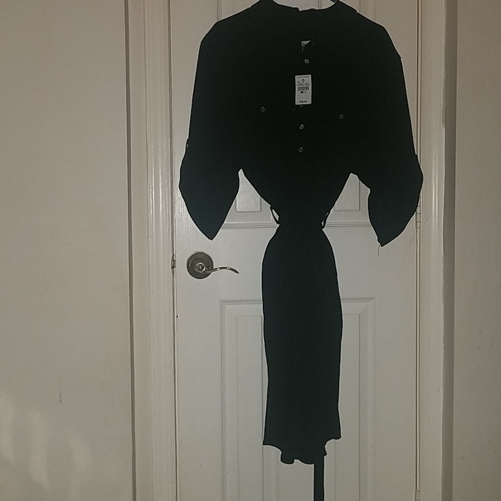 Ashley Stewart Dress